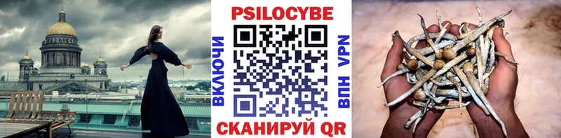 Галлюциногенные грибы GOLDEN TEACHER  что такое   Балаково 