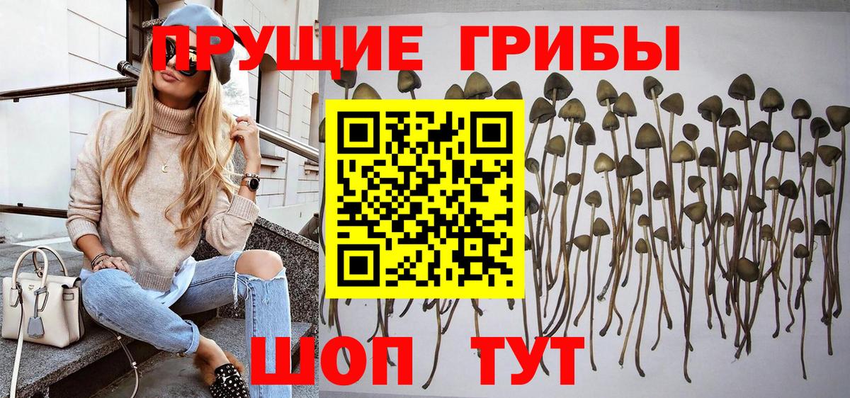 Псилоцибиновые грибы прущие грибы Балаково