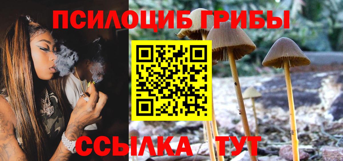 Галлюциногенные грибы GOLDEN TEACHER  Вход с VPN  Псилоцибиновые грибы GOLDEN TEACHER  где купить наркоту  Балаково 